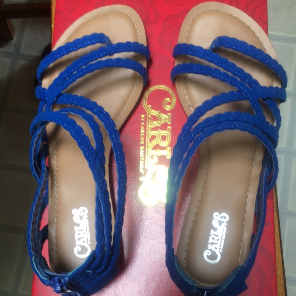 Carlos Santana Electric Blue Sandals